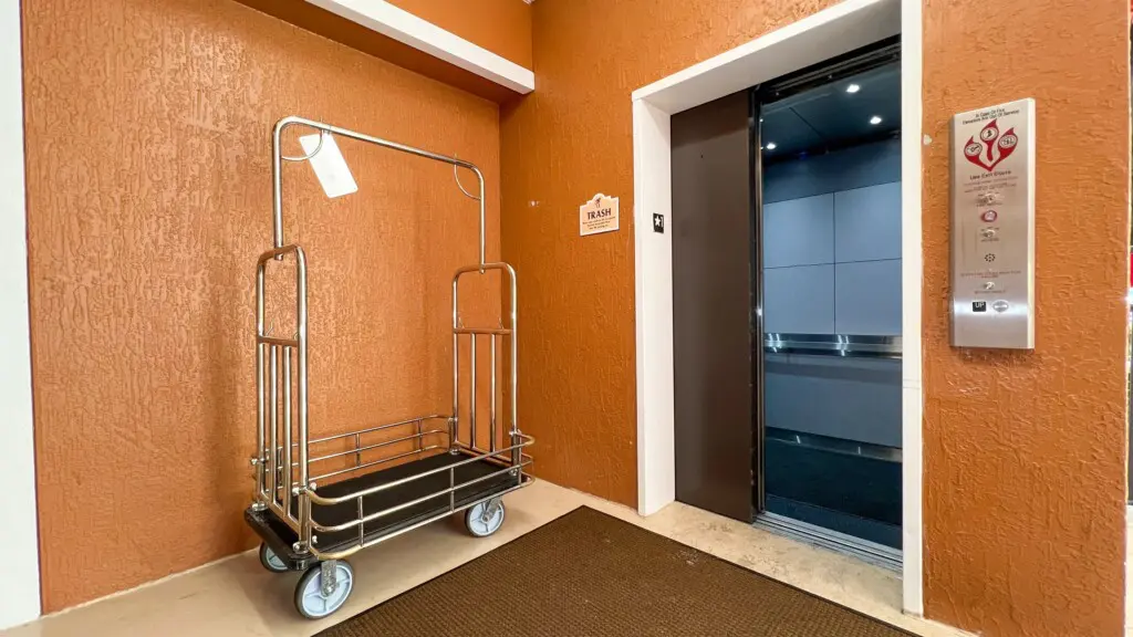 024511f188c64b1188f7cca1a869249c LargeOriginal.jpg