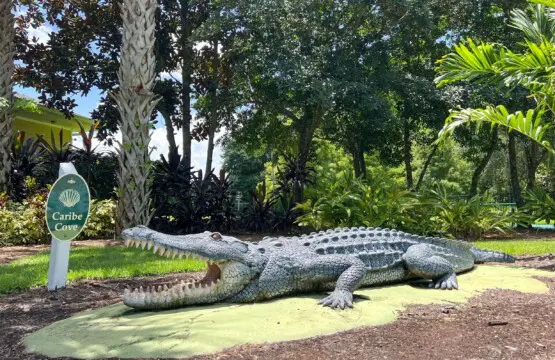 910aa145d0084d2685bc5f0d7954b6e5 LargeOriginal.jpg