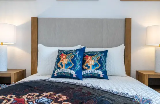 ddc08cb4a6fd451d9091eadf33eccd58 LargeOriginal.jpg