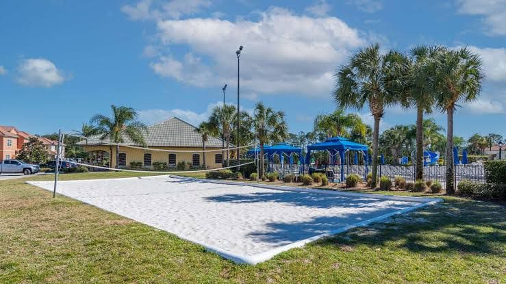 Volleyball Court